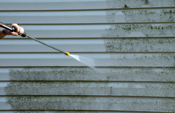 Best Certified Mold Removal  in Cosmopolis, WA