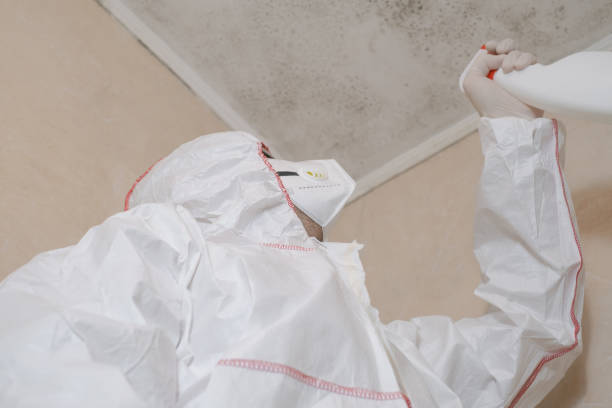 Best Commercial Mold Removal  in Cosmopolis, WA