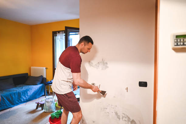 Home Mold Removal in Cosmopolis, WA