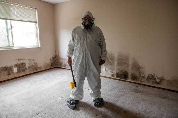 Best Commercial Mold Removal  in Cosmopolis, WA