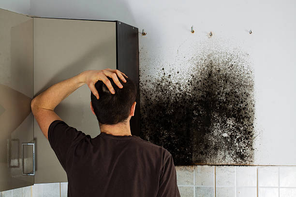 Water Damage Restoration in Cosmopolis, WA